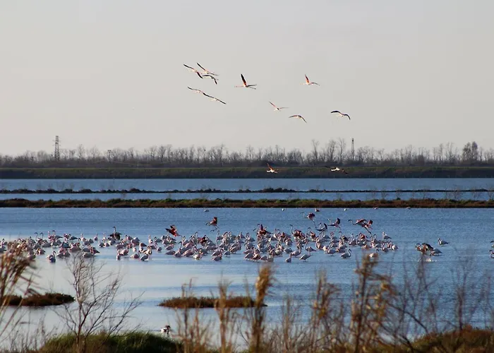 Sole&mare * Rosapineta