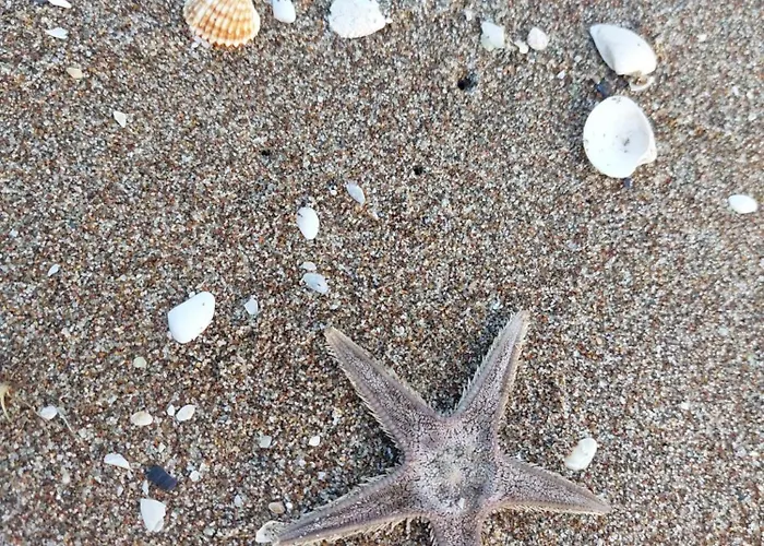 Sole&mare Appartement